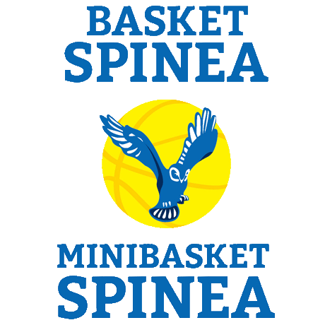Basket Spinea ASD